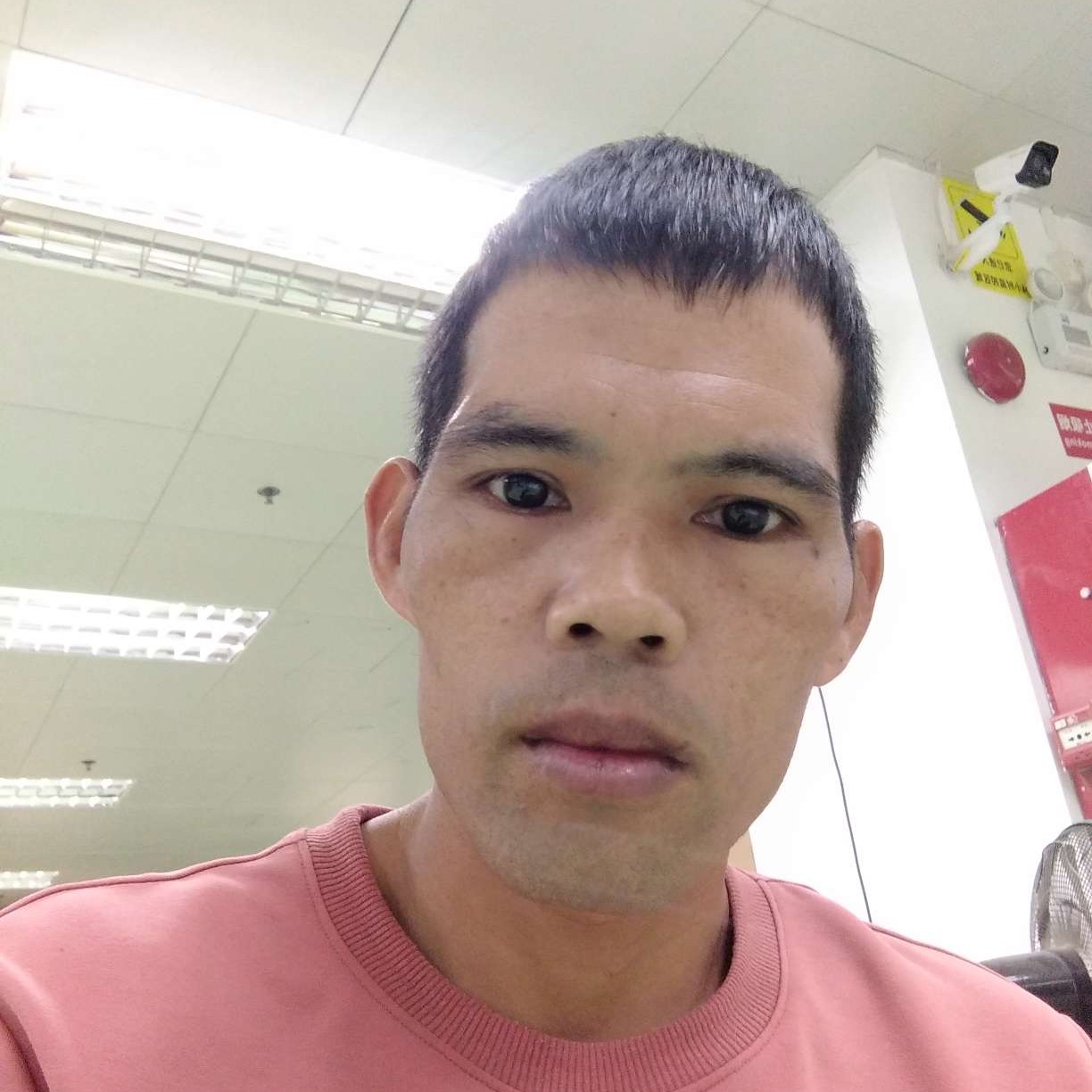 明理漫步火的照片