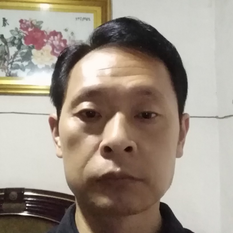 芝麻踢传统的照片