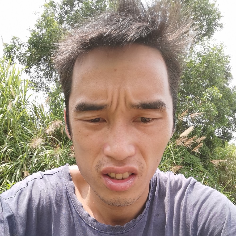 陈东亮爱的避风港的照片