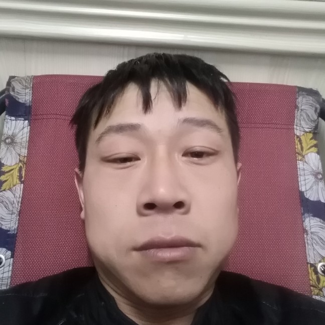 鳗鱼方金鱼的照片