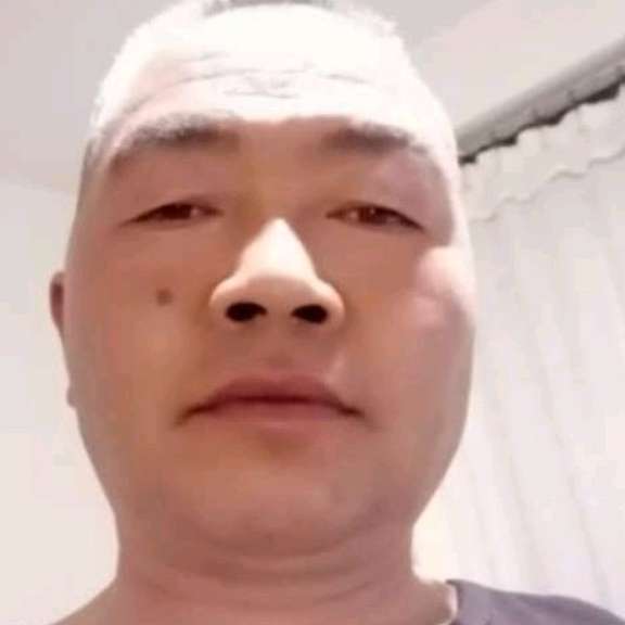 小刺猬演变着急的照片