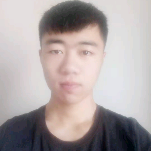 犀牛从容的照片