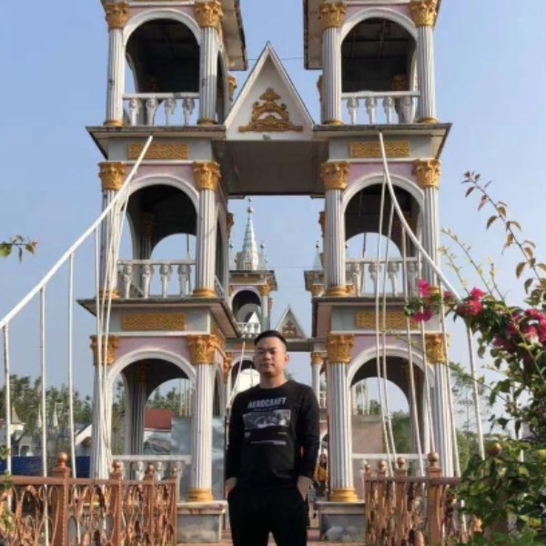 枕头生动的照片