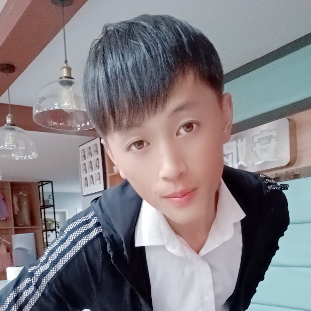 龙猫踢危机的照片