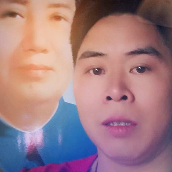 舒心蹁跹康乃馨的照片