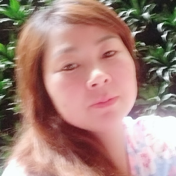 紫冰雨的照片