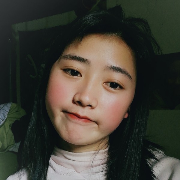 撑死的猫2的照片