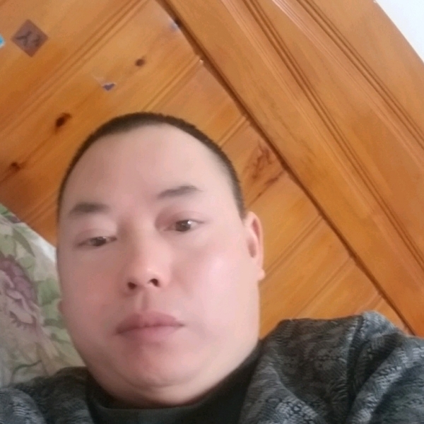 忧虑倾心飞鸟的照片