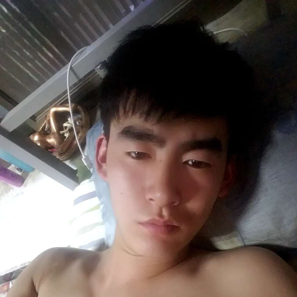绵密的羽裳的照片