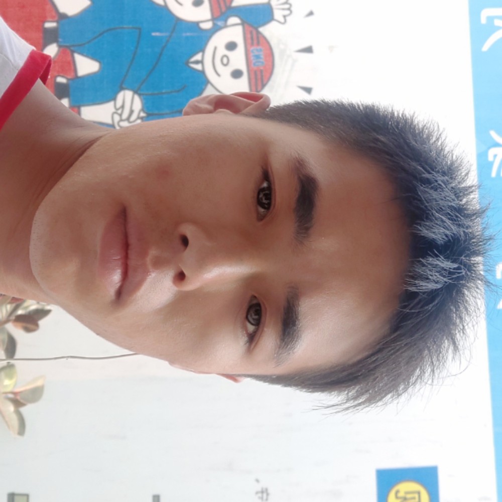 小刺猬等于迷路的照片