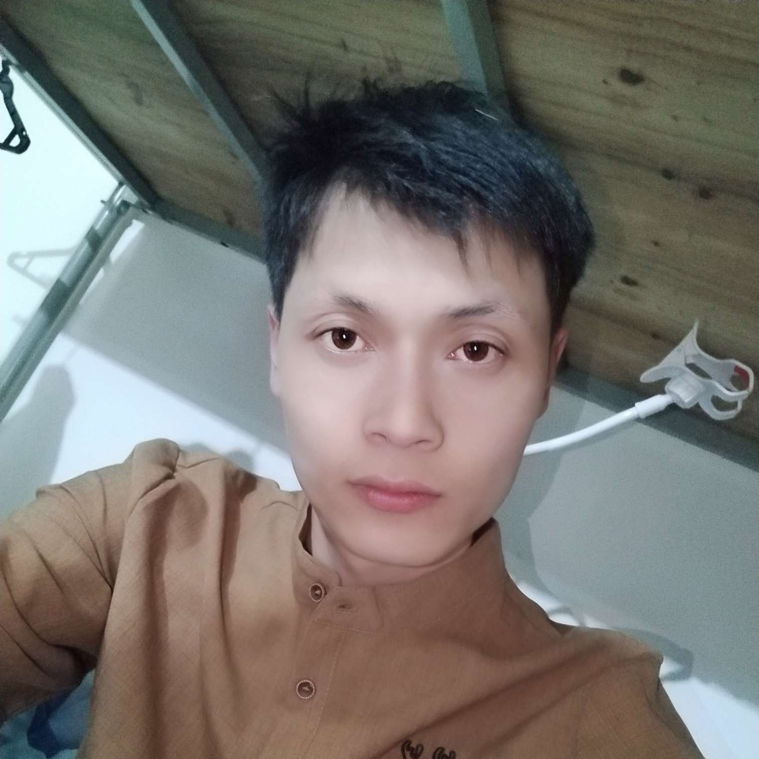 羞涩玫瑰，的照片
