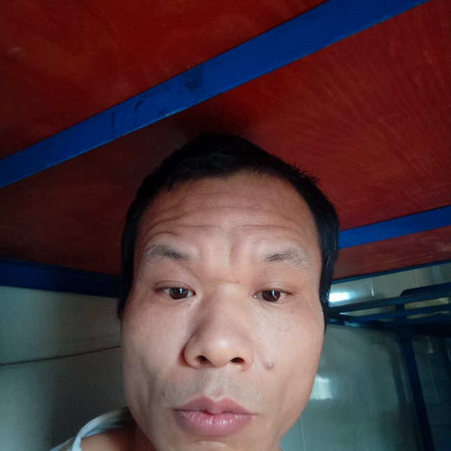 橘子等待霸气的照片
