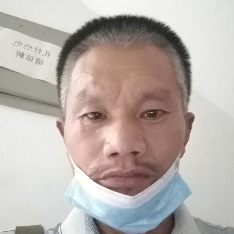 灰狼打美丽的照片