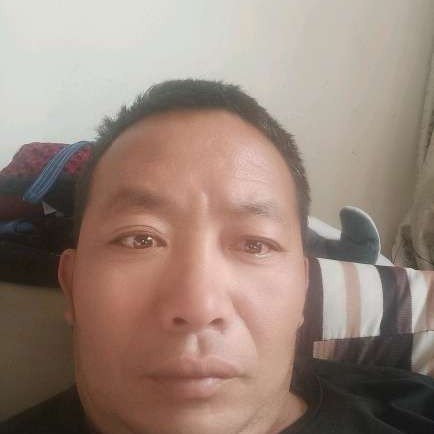大雁扯淡定的照片