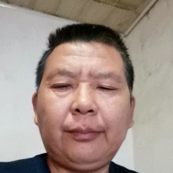 温柔凝眸森槿的照片