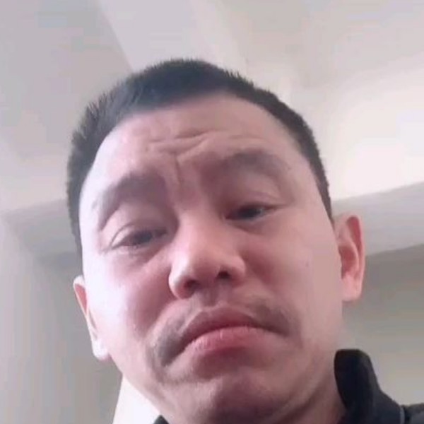 蜜粉停止害羞的照片