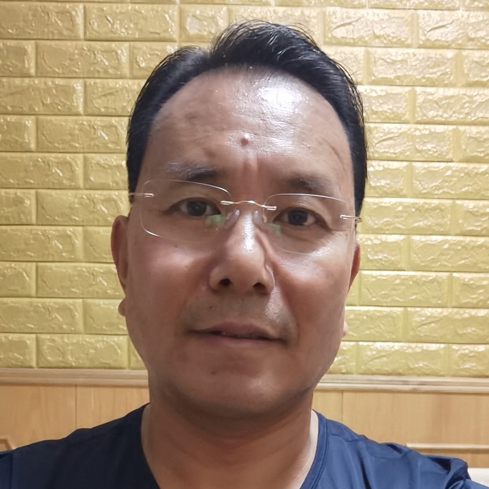 斑鸠非非的照片