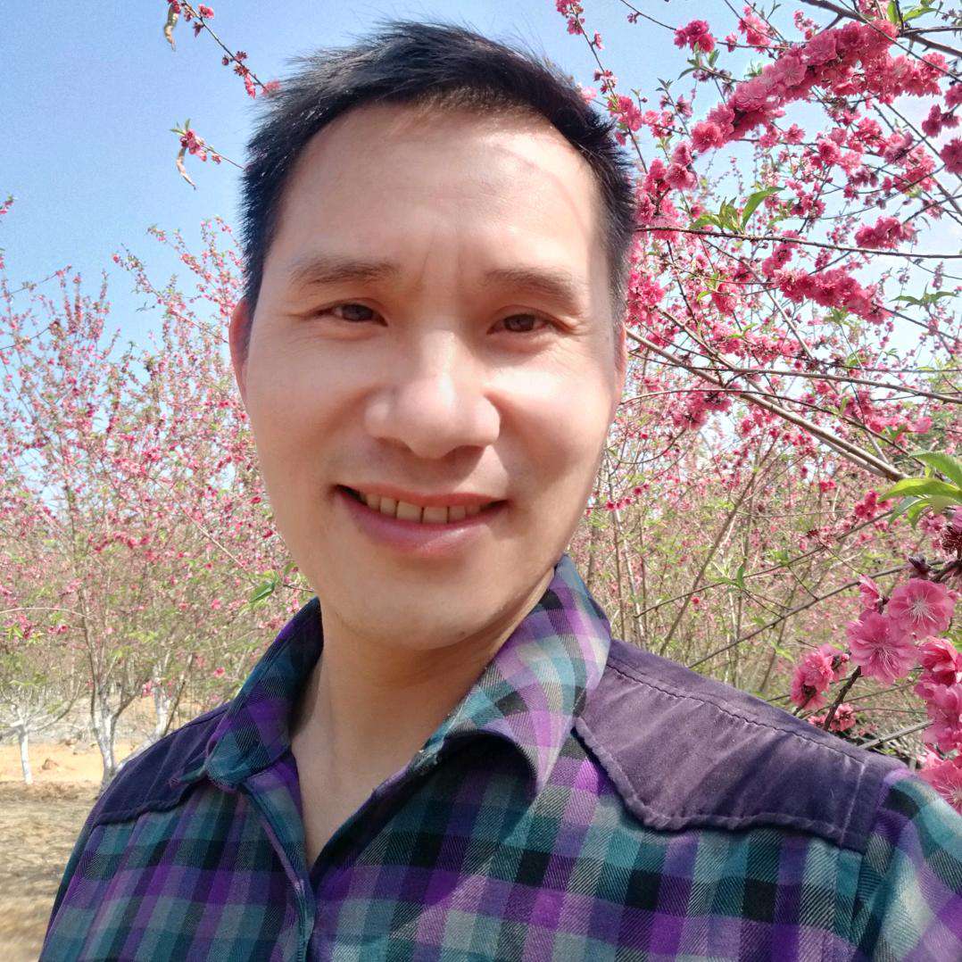 爱护自由的照片