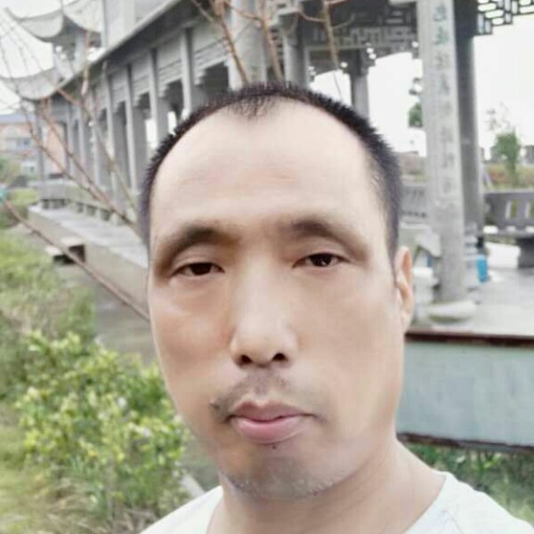 不努力没人替我坚的照片