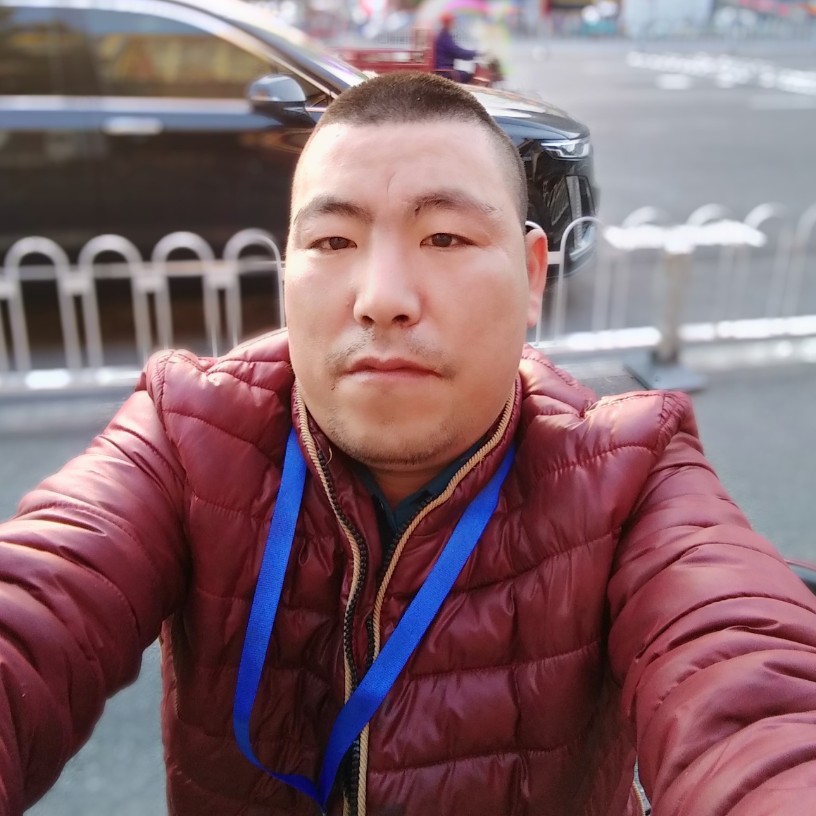 漂亮扯斑马的照片