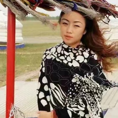 彩色森槿的照片