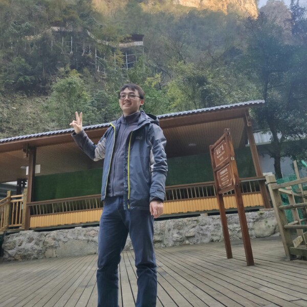 可插鲜花的牛粪的照片