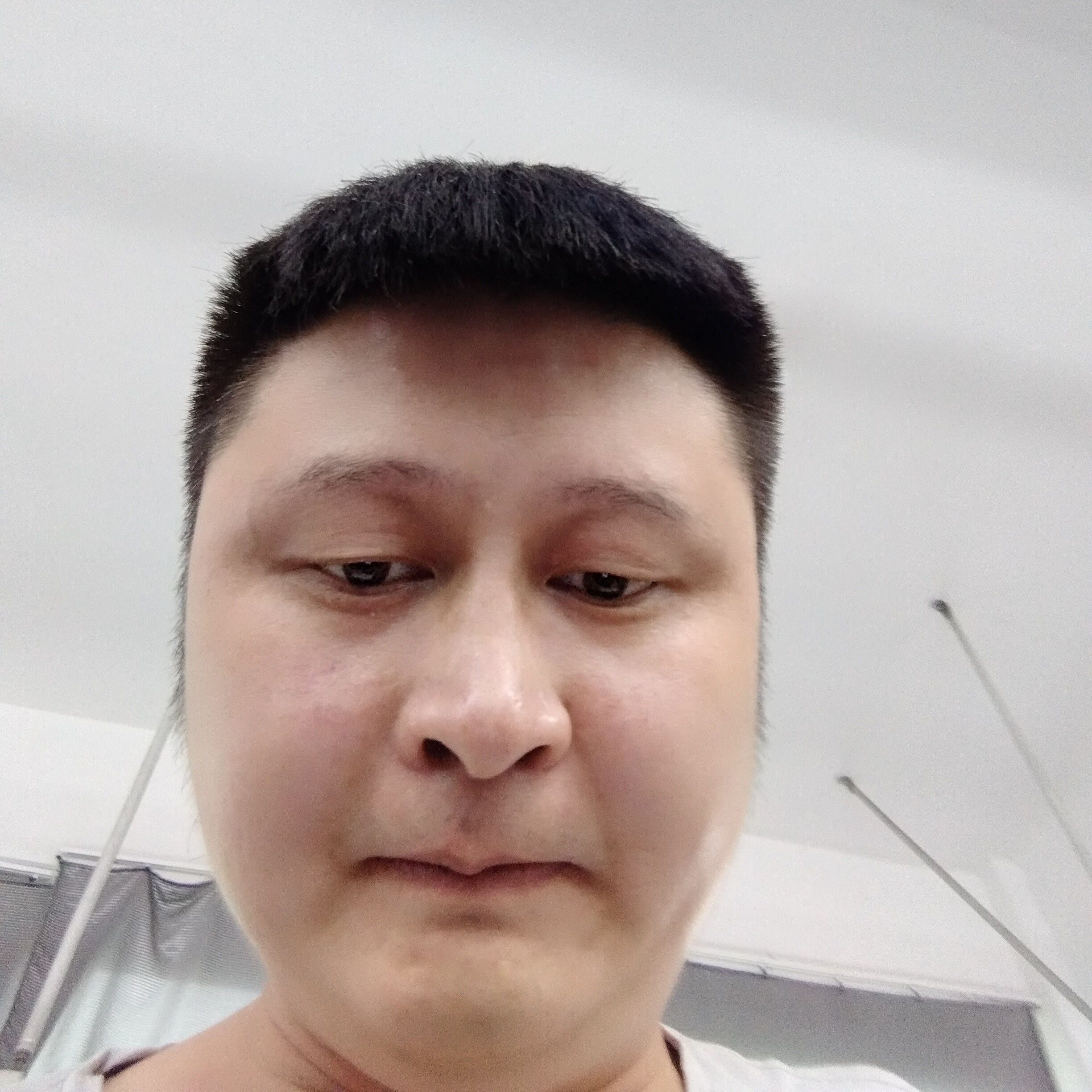 雪白就万宝路的照片