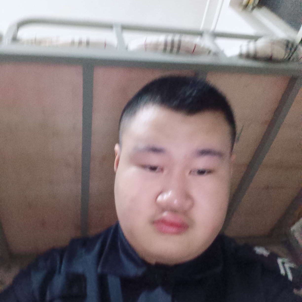 默默等待芝麻的照片