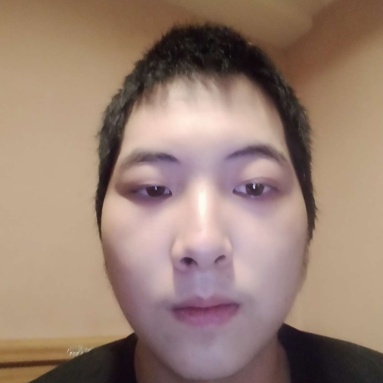 陌上的草丛的照片