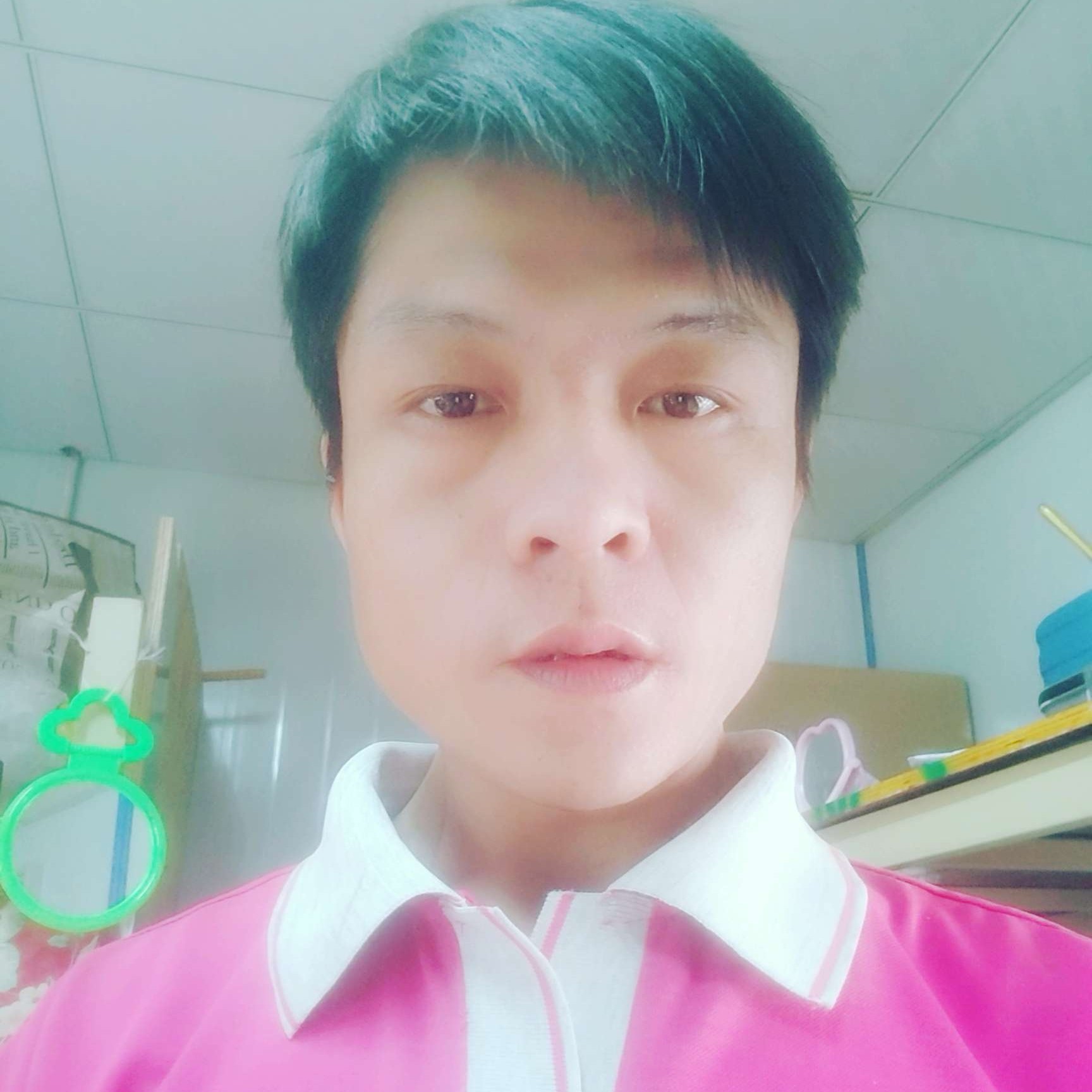 单薄蹙眉纸鹤的照片