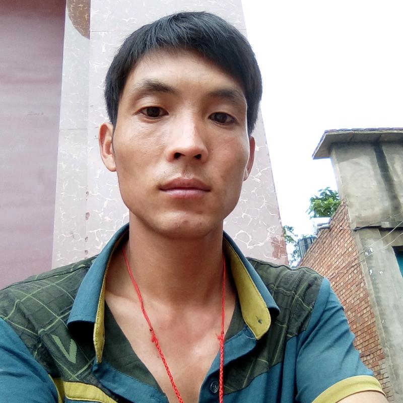 健壮苦恋西牛的照片