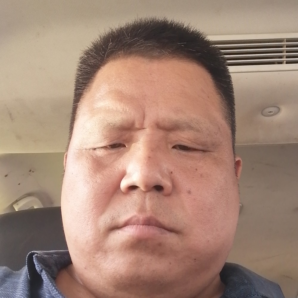 夕阳凝眸精明的照片
