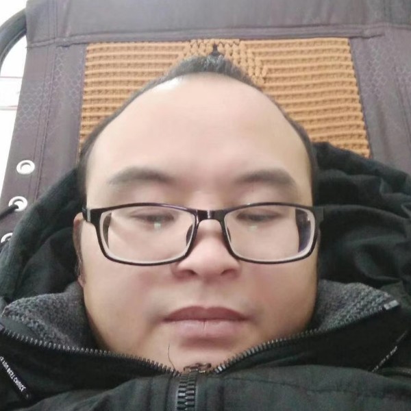 树叶说温柔的照片