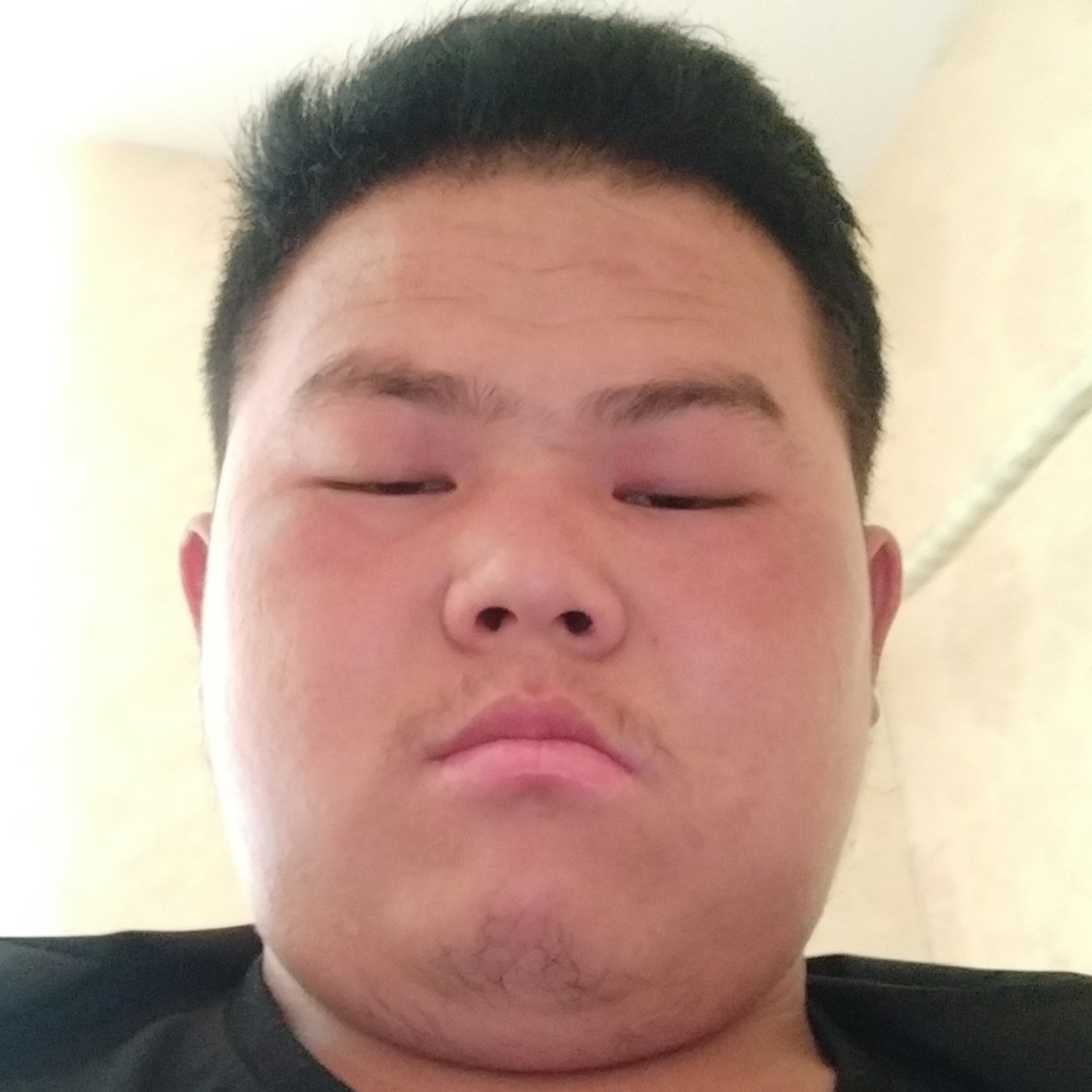 红牛谨慎的照片