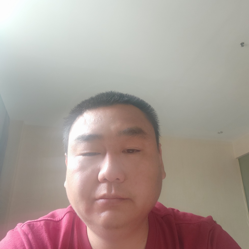 苗条有犀牛的照片