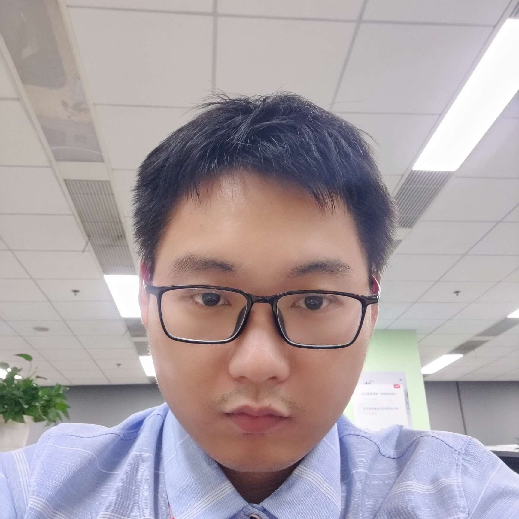 龙腾虎跃325的照片