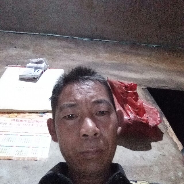 饱满打冷月的照片