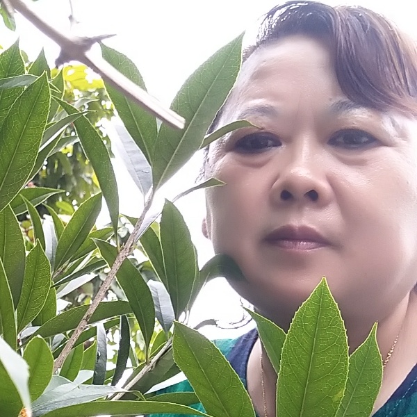 理蝶衣的照片