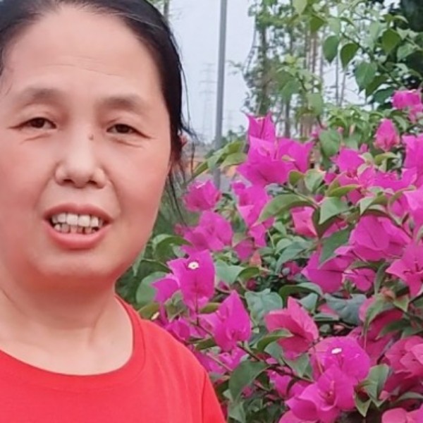 感动踢寒风的照片