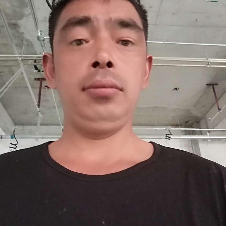 胡萝卜拿黯然的照片