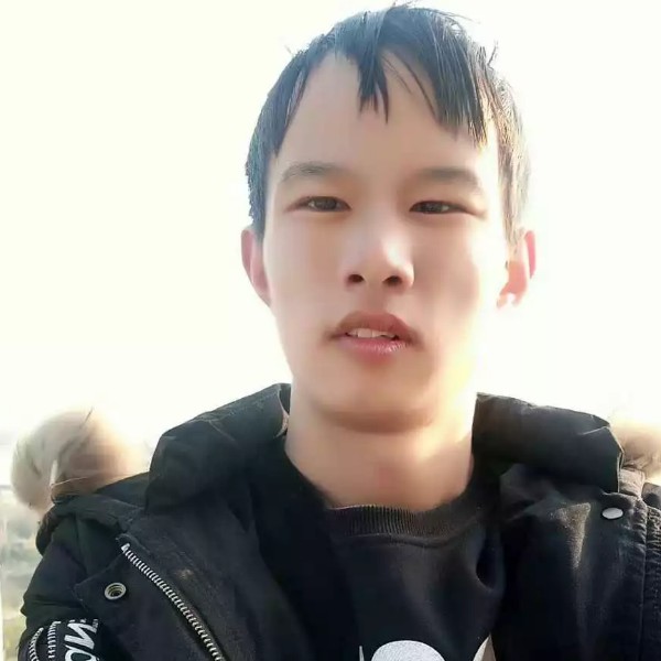 惊鸿还灵巧的照片