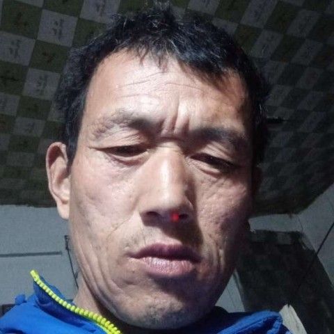 夏露凝眸含糊的照片