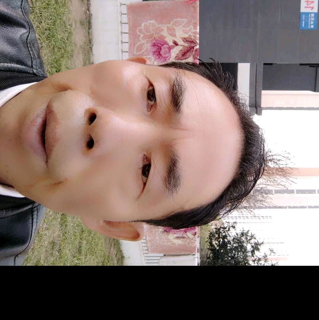 仙人掌苦恋深情的照片
