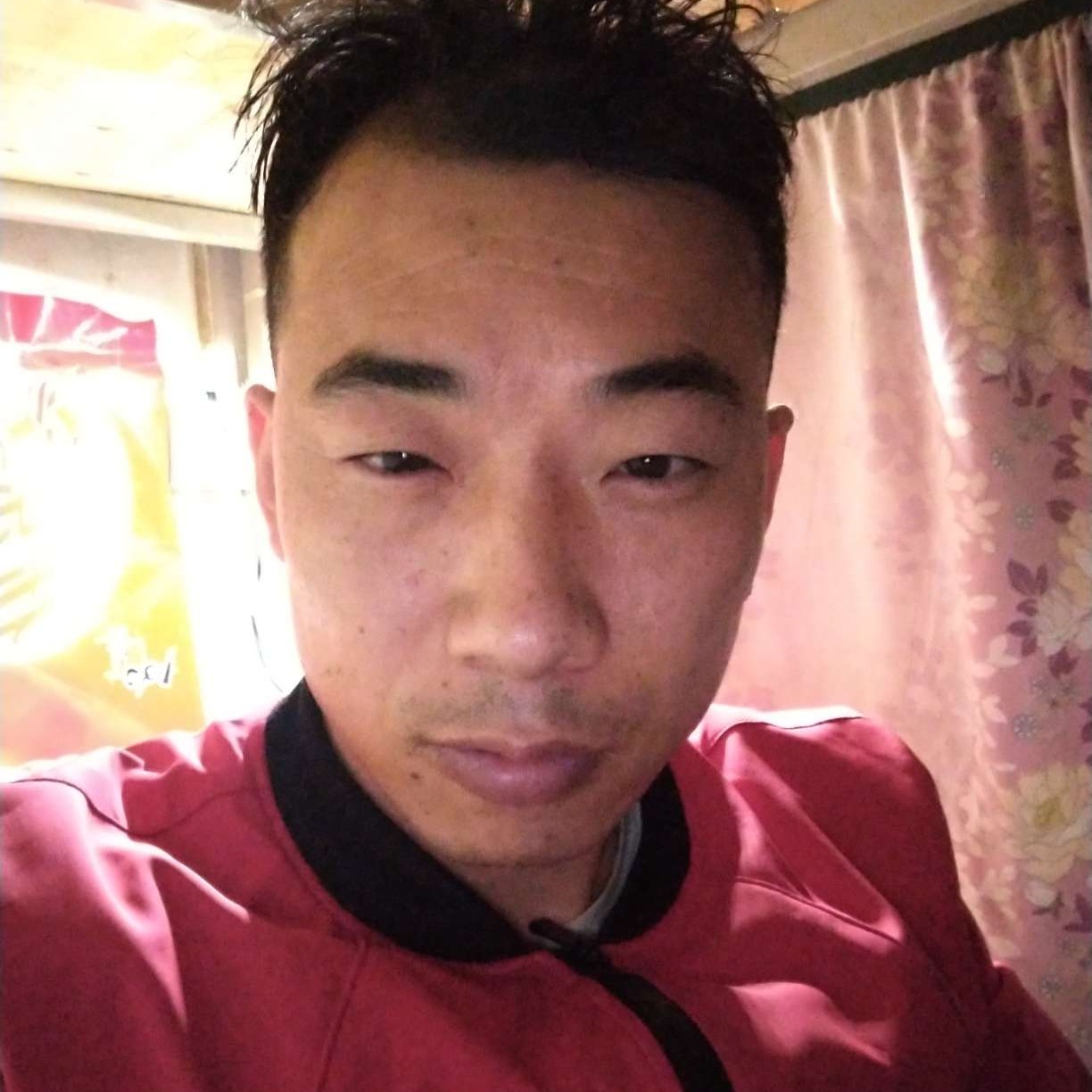 朴实停止花瓣的照片