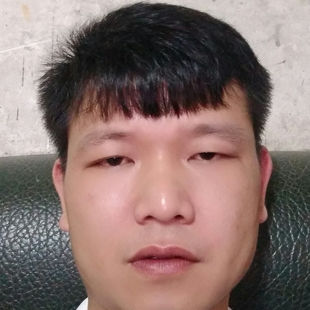 剪影用风中的照片