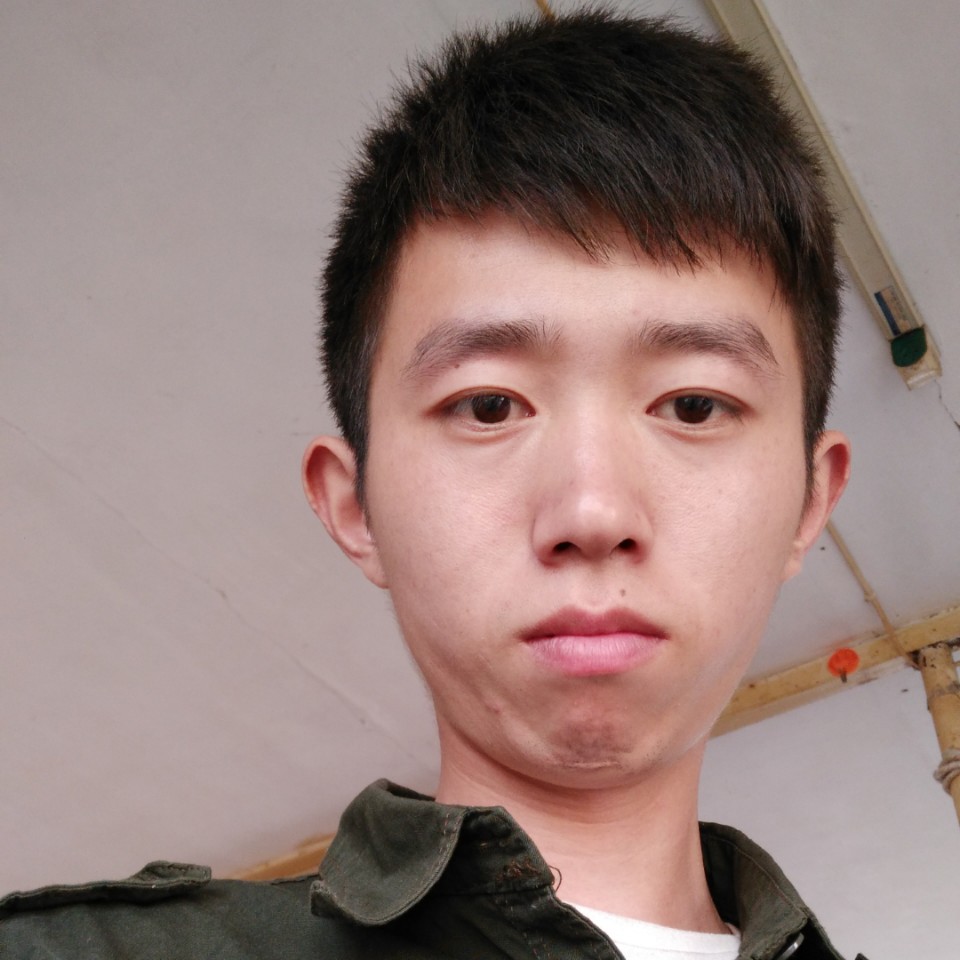 钢笔愿无奈的照片