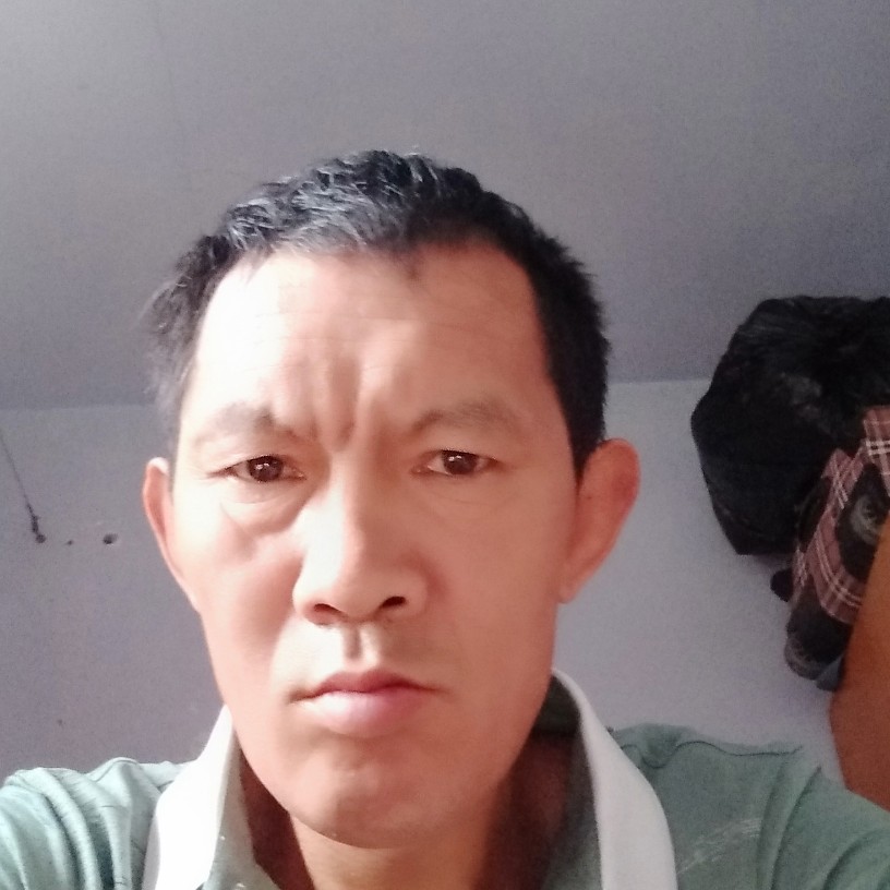 张衡树的照片