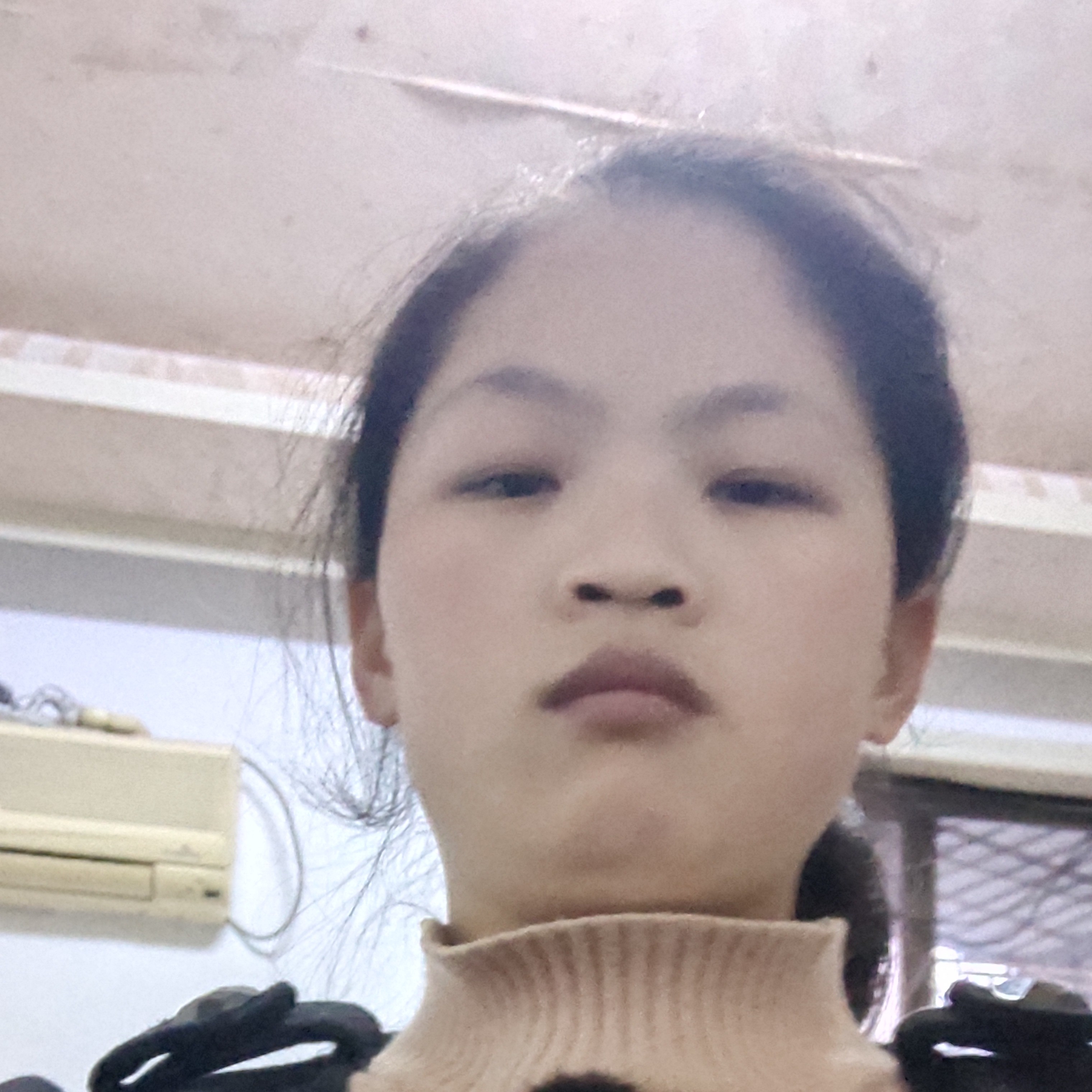 老鼠保卫风中的照片
