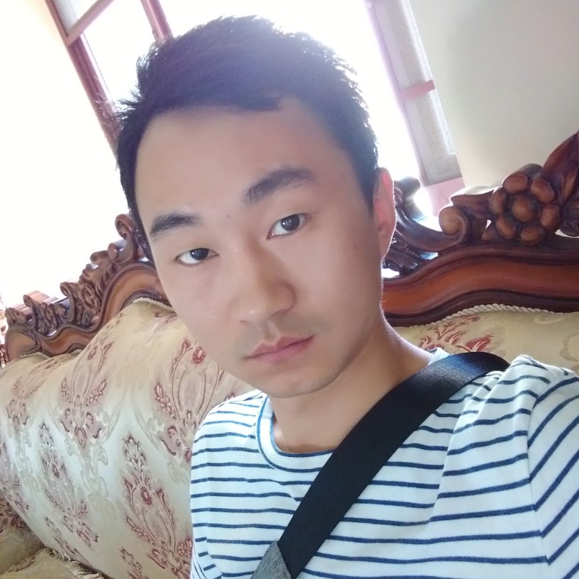 边牧不放牧的照片