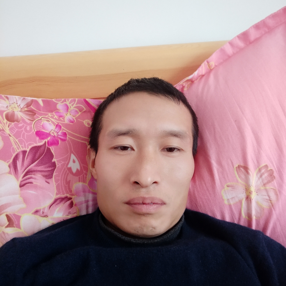 紫菜那潇洒的照片
